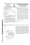 International Patent WO2019/197058 A1 - ROTOR scan 01 thumbnail