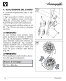 Campagnolo instructions - 7225462 11 Spd Rear Der ('03/2010') page 014 thumbnail