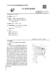 Chinese Patent # CN112623103A - Wheel Top page 01 thumbnail