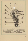 Romet - Rowery Instrukcja Obslugi 1977 page 17 thumbnail
