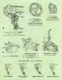 Simplex - Changements de Vitesses et Specialités pour Cycles et Motos 1953-1954 scan 03 thumbnail
