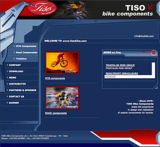 Tiso - web site 2005 image 1 thumbnail