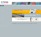 Triplex - web site 2002 image 1 thumbnail